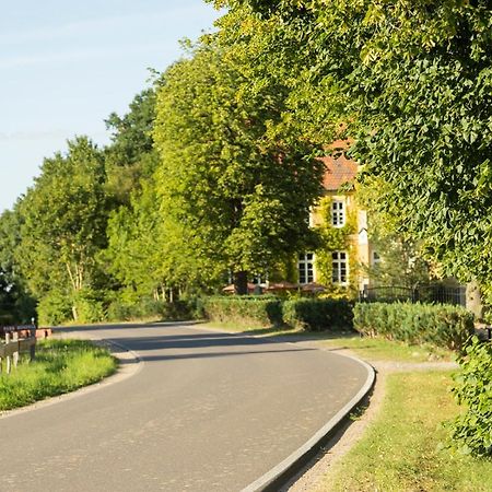 Naturnahes, Neu Moebl.Apartment, Hundefreundlich Neu Gaarz Exterior foto