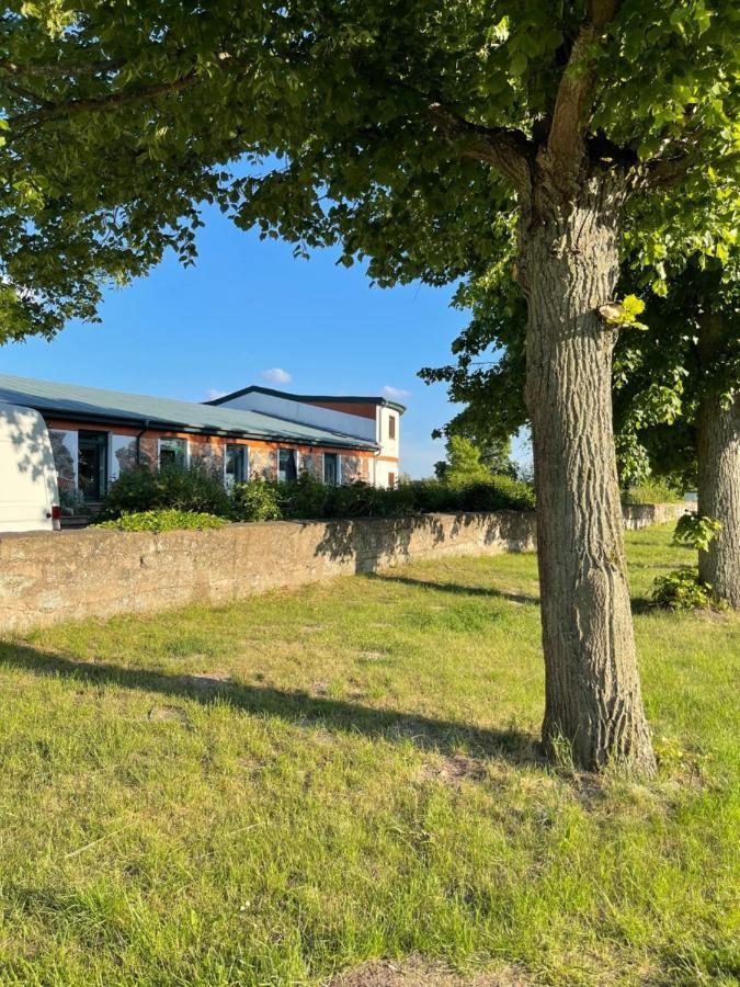 Naturnahes, Neu Moebl.Apartment, Hundefreundlich Neu Gaarz Exterior foto
